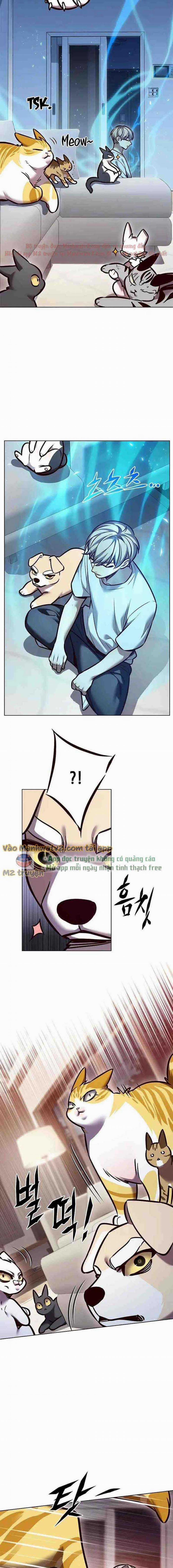 Hóa Thân Thành Mèo 299 trang 7
