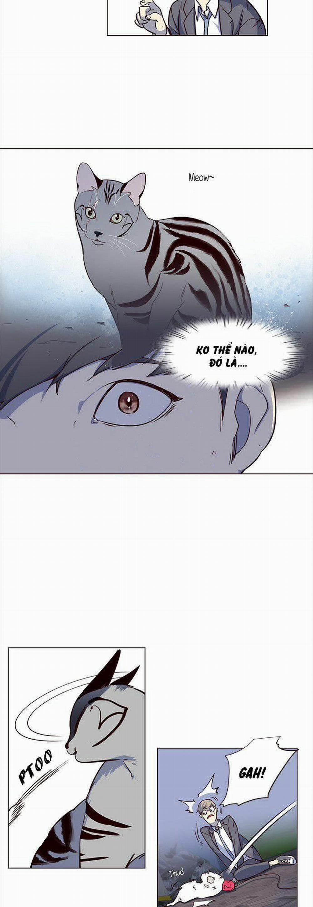 Hóa Thân Thành Mèo 3 trang 11
