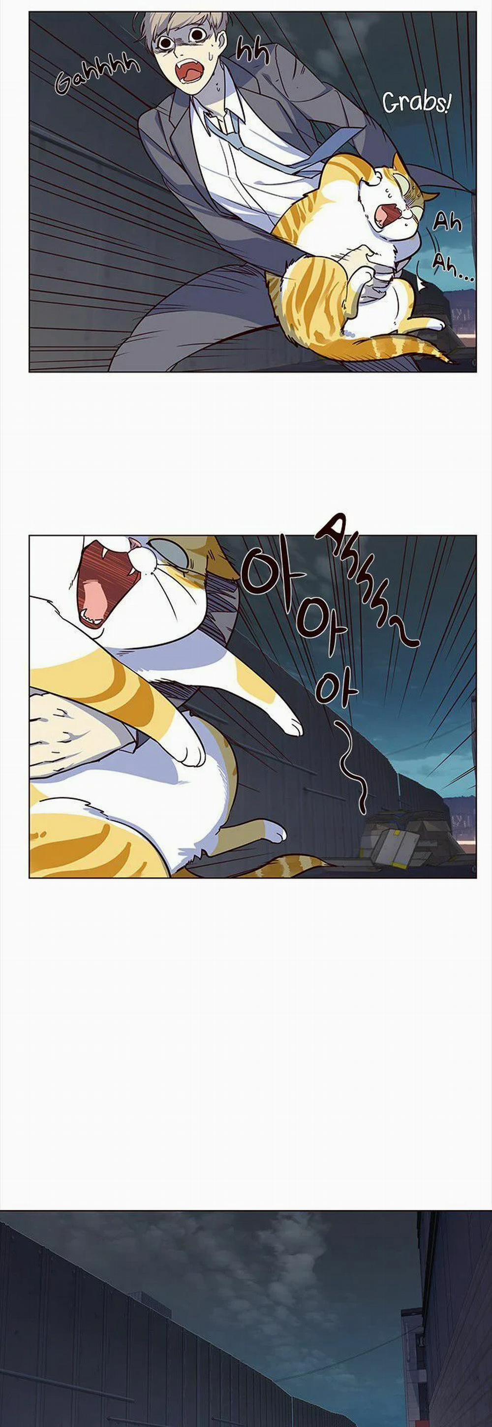 Hóa Thân Thành Mèo 3 trang 14