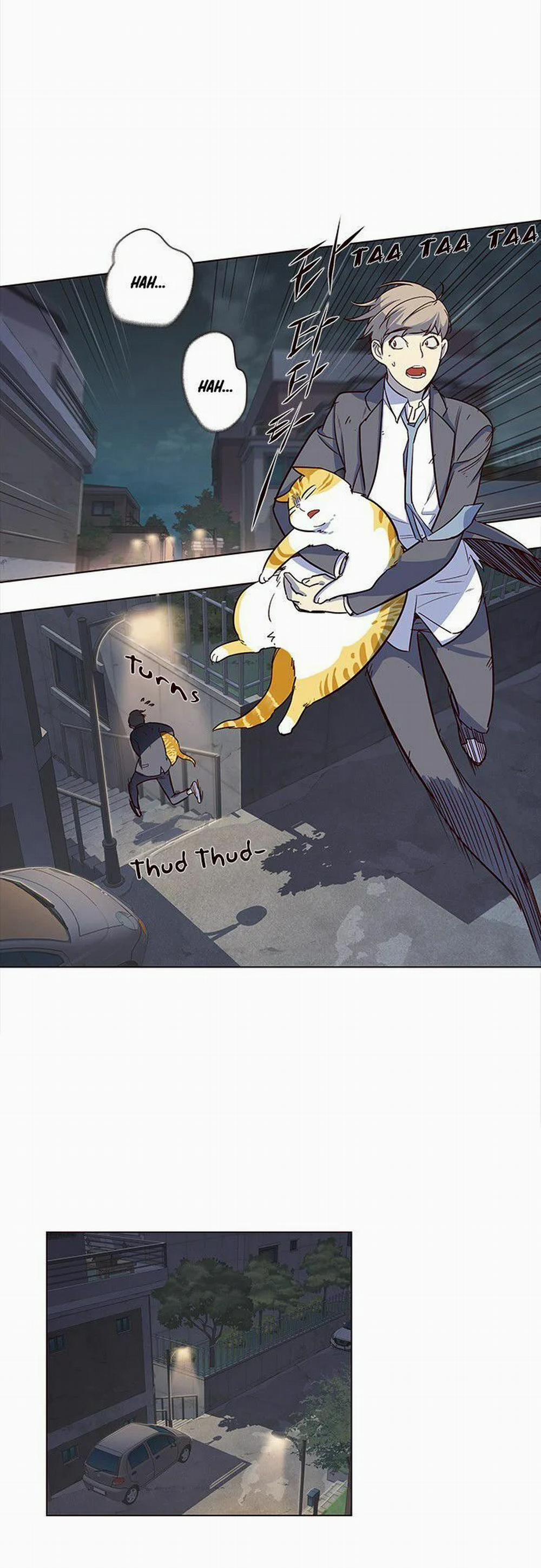 Hóa Thân Thành Mèo 3 trang 17