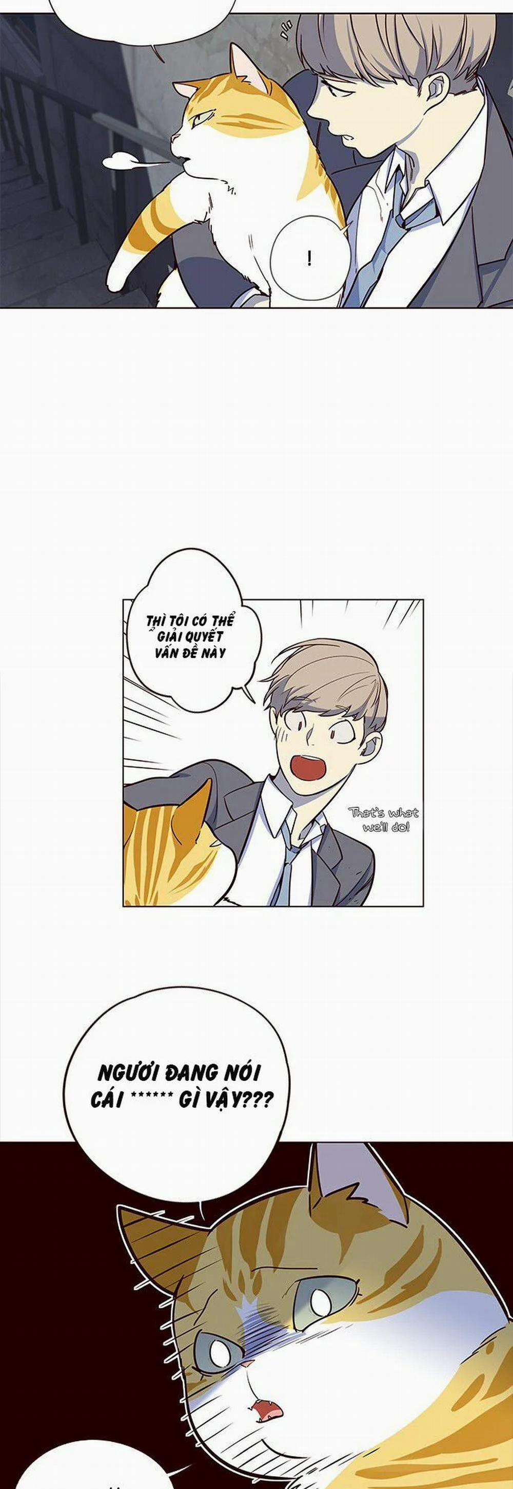 Hóa Thân Thành Mèo 3 trang 21