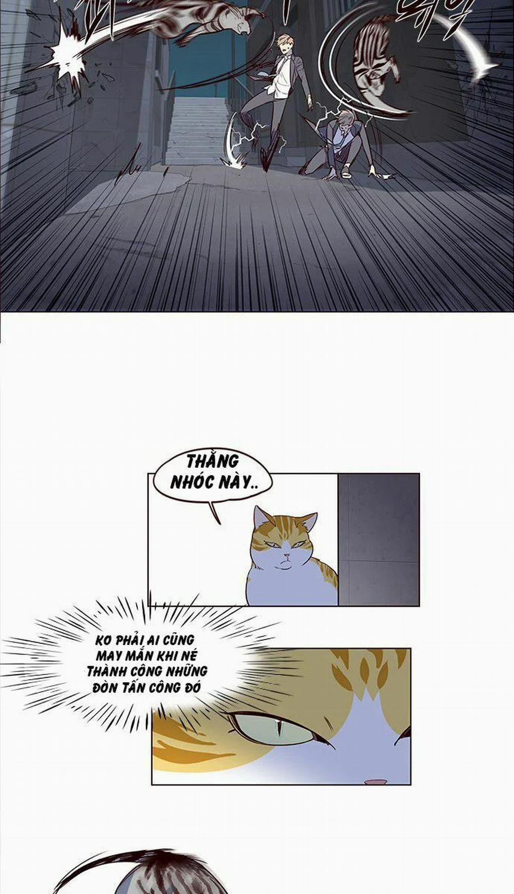 Hóa Thân Thành Mèo 3 trang 37