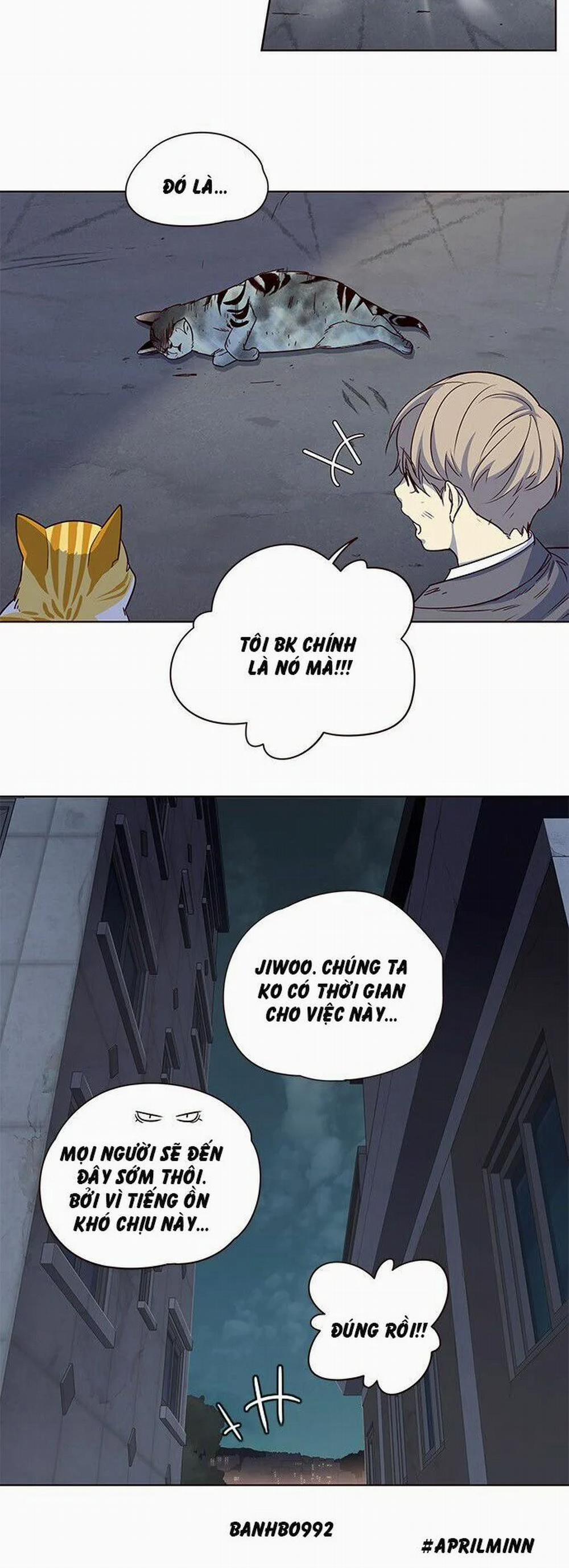 Hóa Thân Thành Mèo 3 trang 49