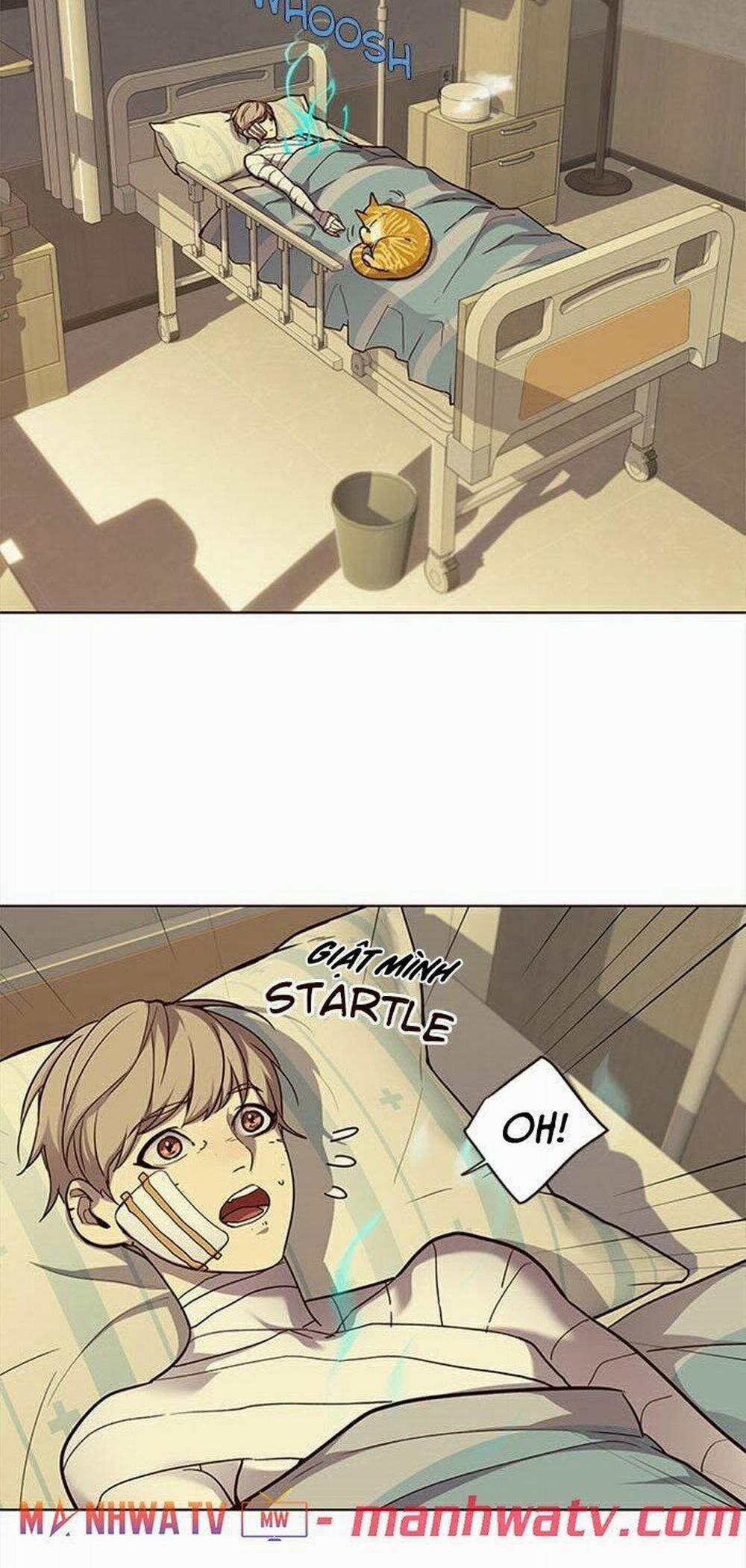 Hóa Thân Thành Mèo 30 trang 4