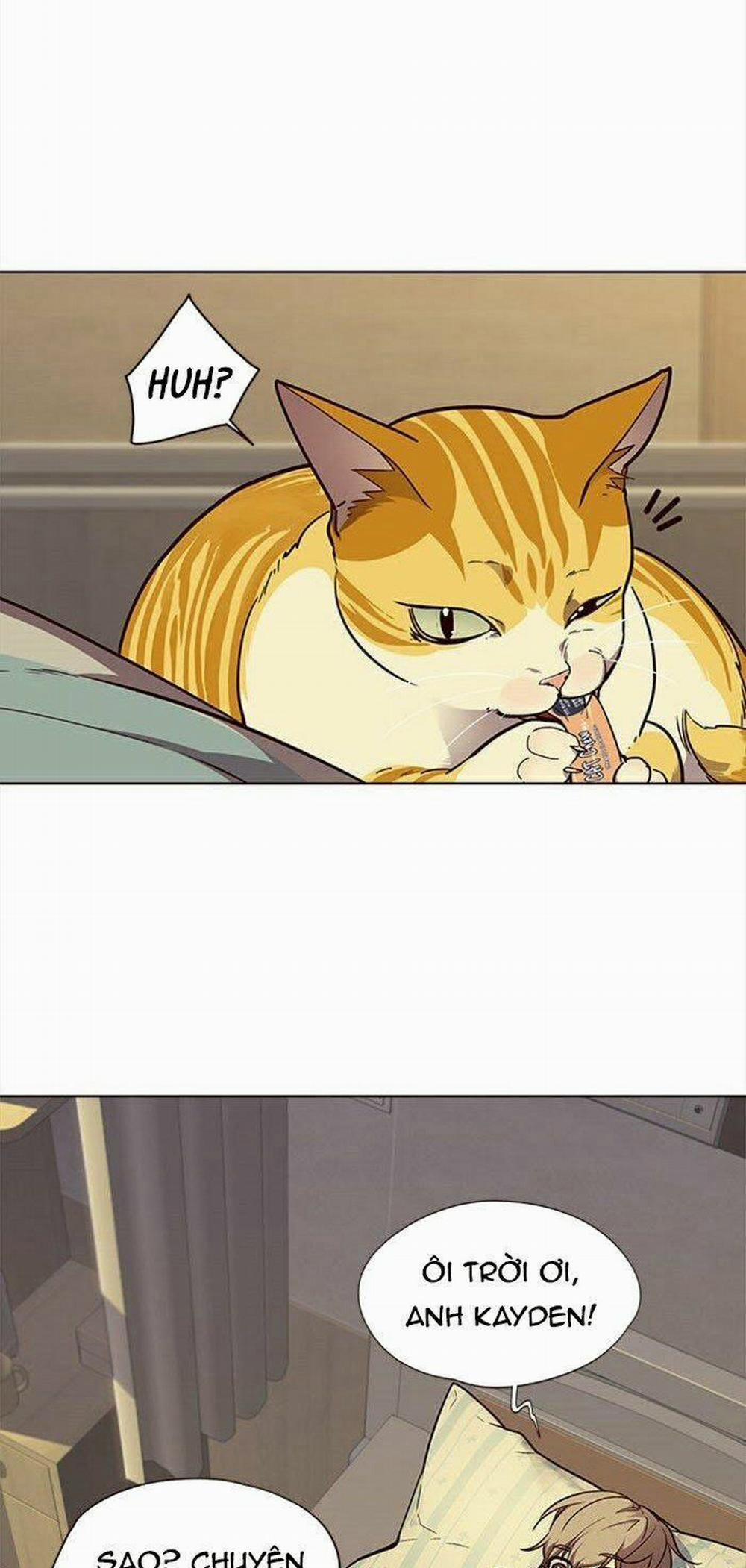 Hóa Thân Thành Mèo 30 trang 5