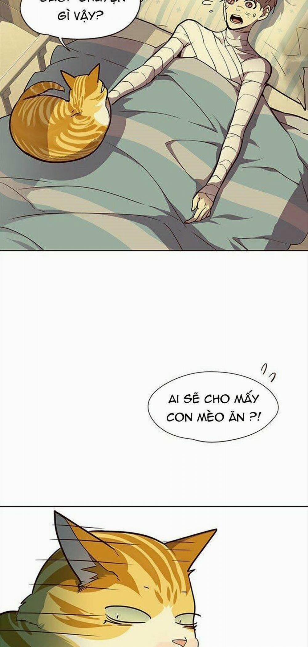 Hóa Thân Thành Mèo 30 trang 6