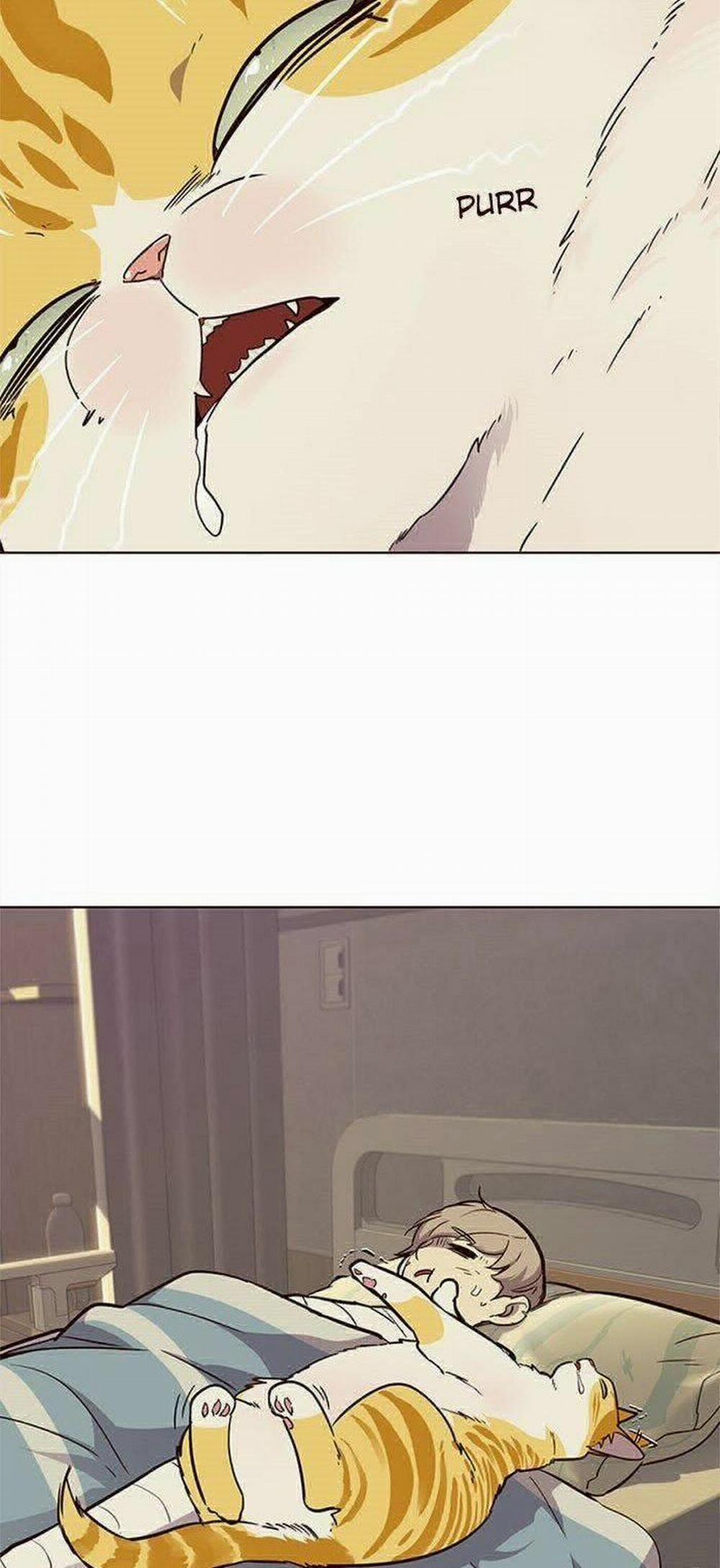 Hóa Thân Thành Mèo 30 trang 65