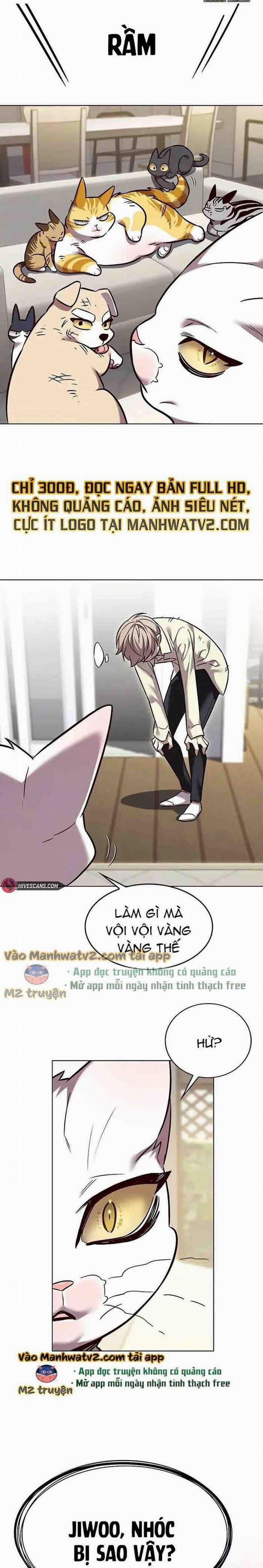 Hóa Thân Thành Mèo 304 trang 15
