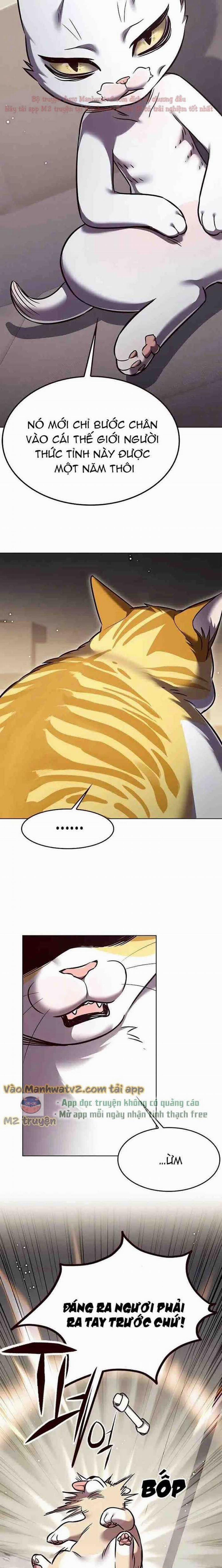 Hóa Thân Thành Mèo 304 trang 4