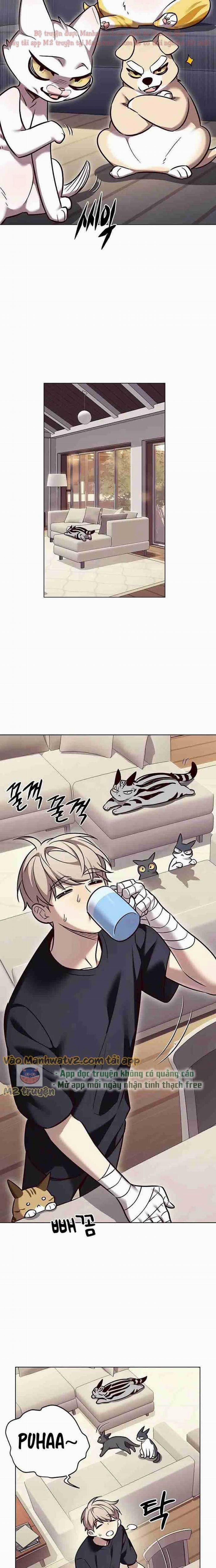 Hóa Thân Thành Mèo 305 trang 13