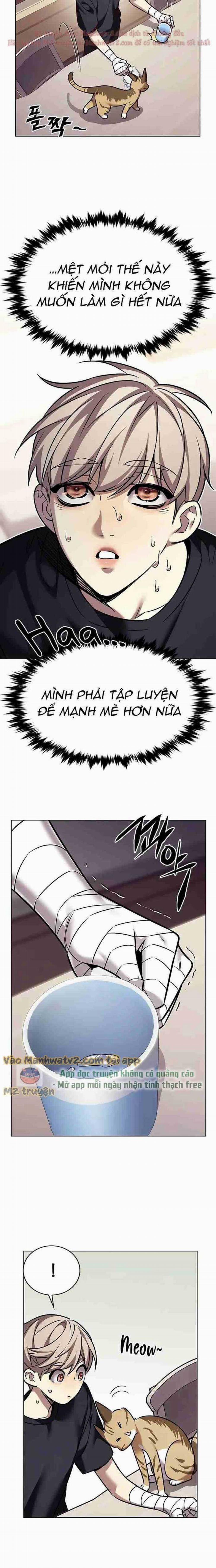 Hóa Thân Thành Mèo 305 trang 14