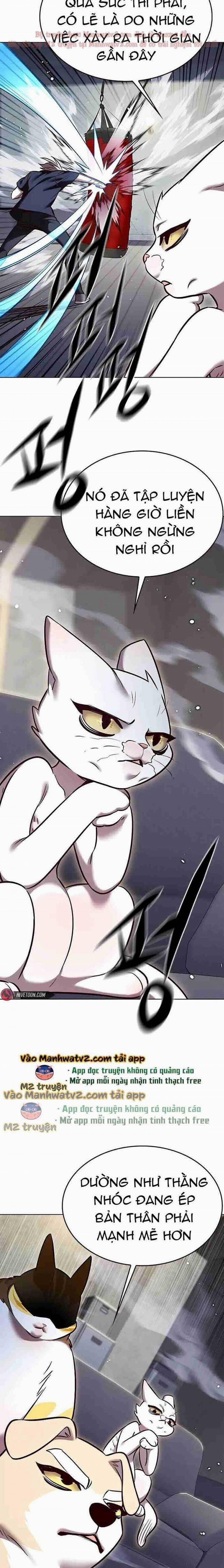 Hóa Thân Thành Mèo 305 trang 5