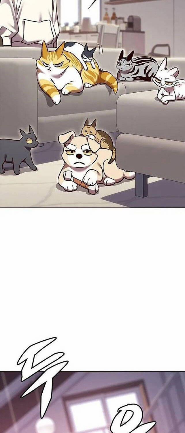 Hóa Thân Thành Mèo 308 trang 26