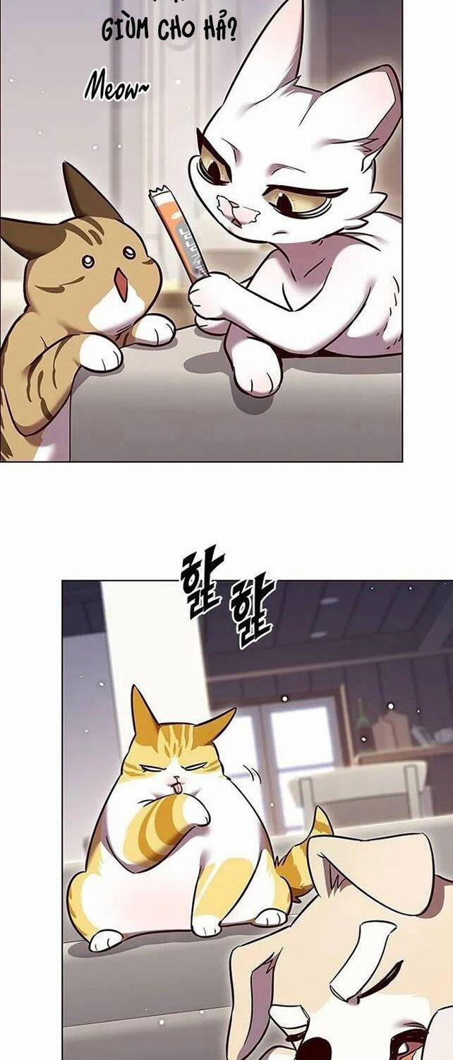 Hóa Thân Thành Mèo 308 trang 51