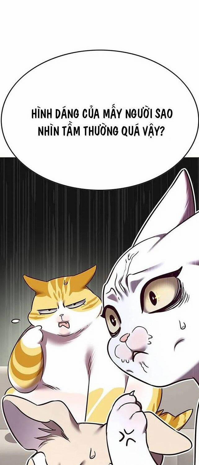 Hóa Thân Thành Mèo 308 trang 57
