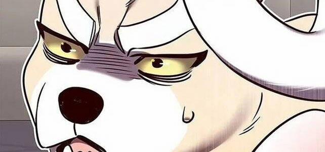 Hóa Thân Thành Mèo 308 trang 58