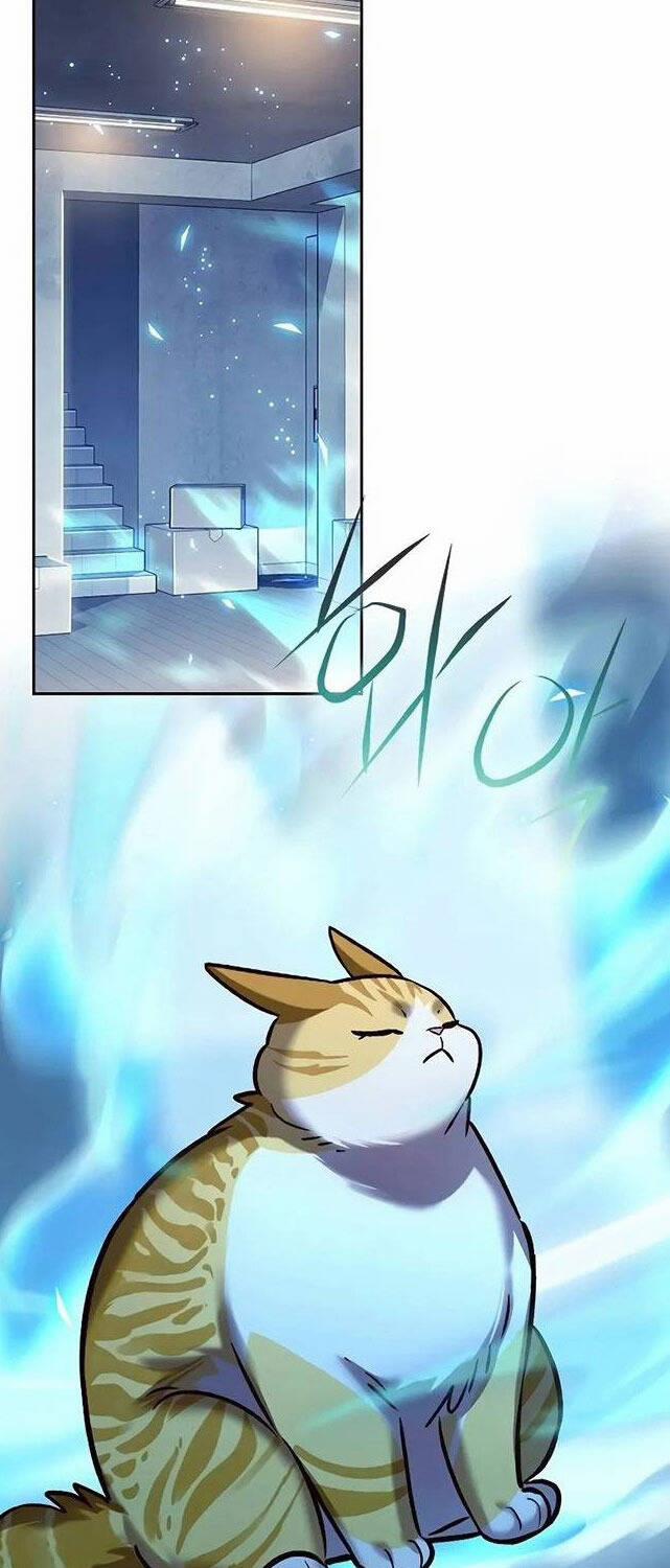 Hóa Thân Thành Mèo 309 trang 29