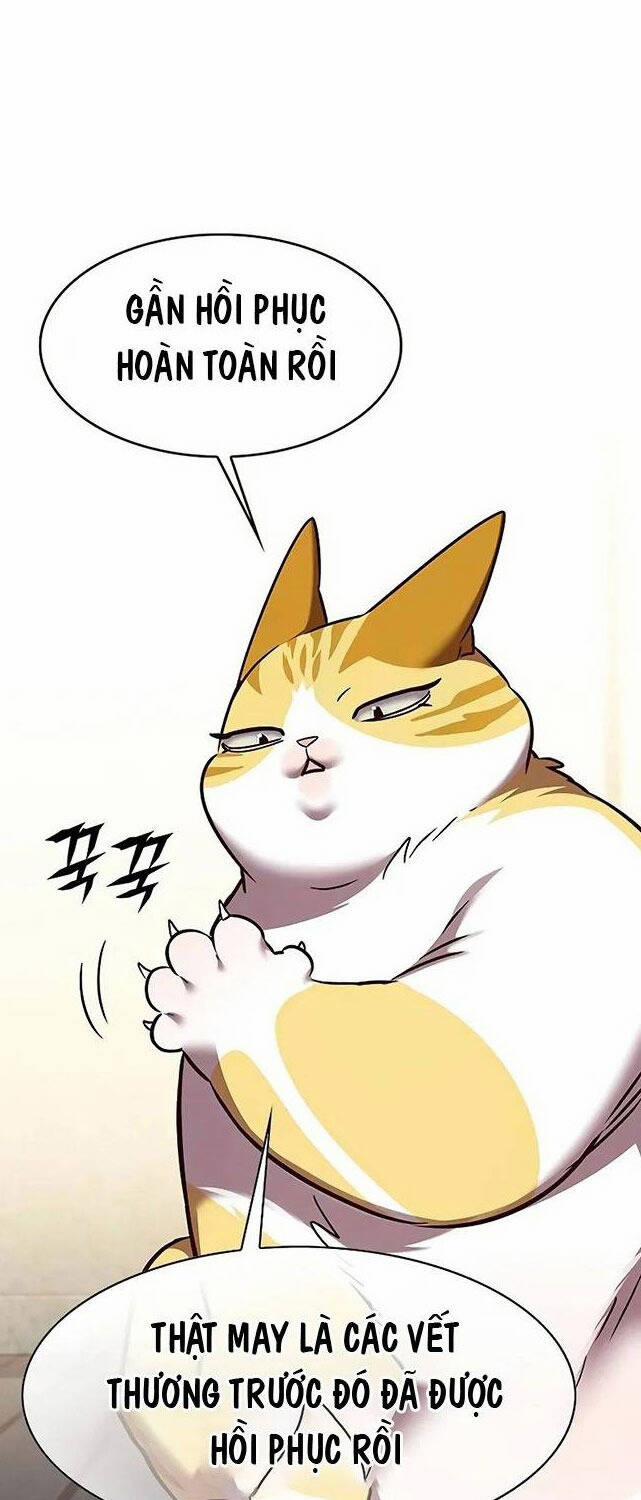 Hóa Thân Thành Mèo 309 trang 35