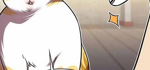 Hóa Thân Thành Mèo 309 trang 37