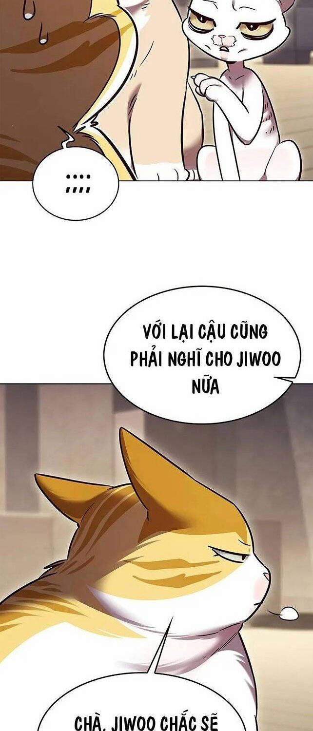 Hóa Thân Thành Mèo 309 trang 43