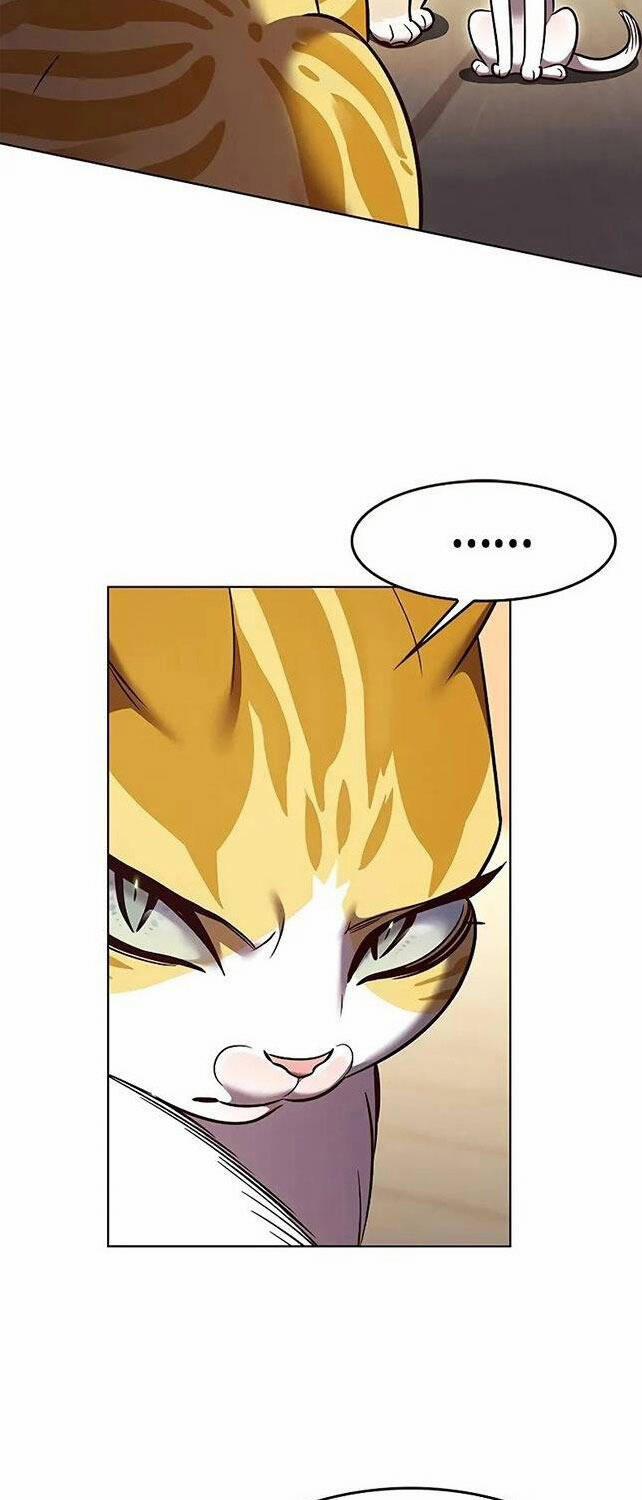 Hóa Thân Thành Mèo 309 trang 46