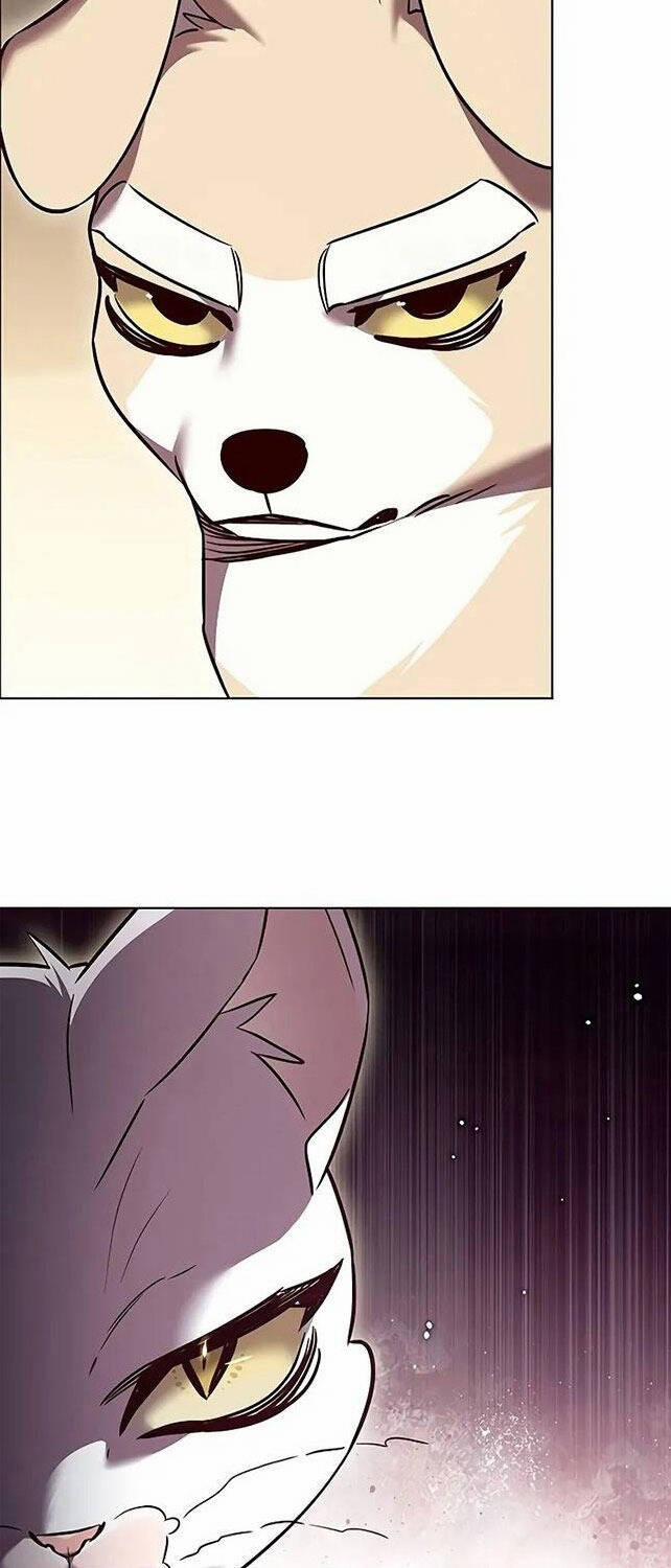 Hóa Thân Thành Mèo 309 trang 53