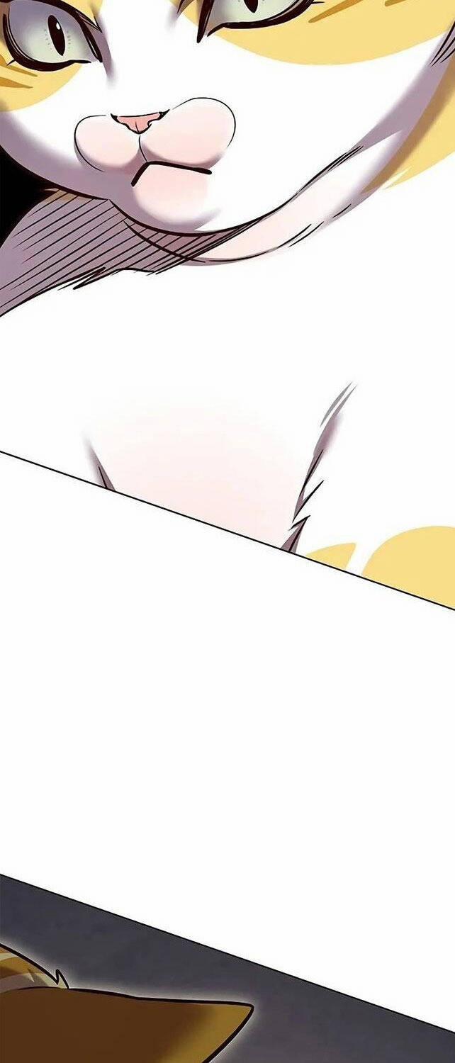 Hóa Thân Thành Mèo 309 trang 56