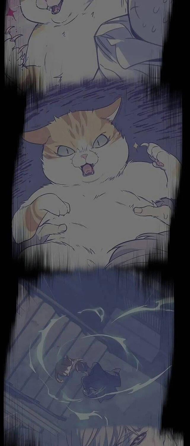 Hóa Thân Thành Mèo 309 trang 67