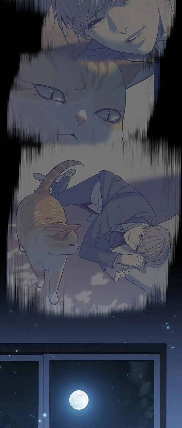 Hóa Thân Thành Mèo 309 trang 68