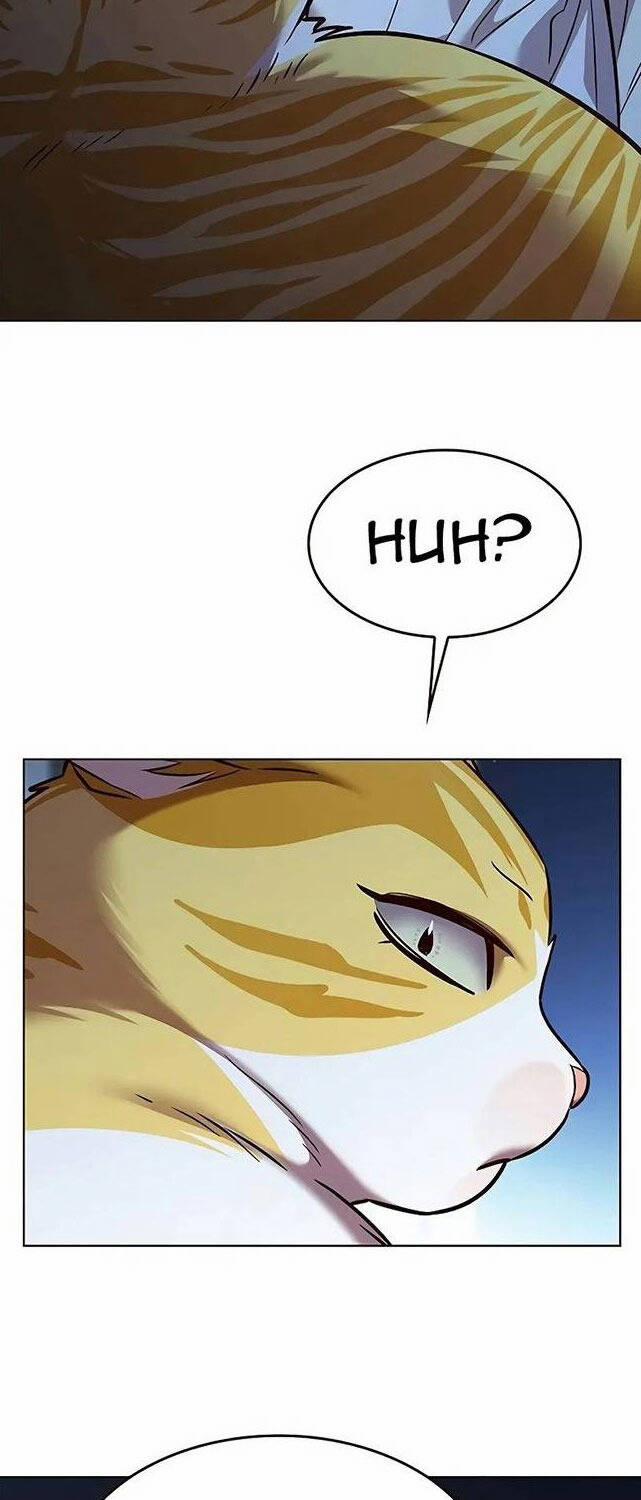 Hóa Thân Thành Mèo 309 trang 72