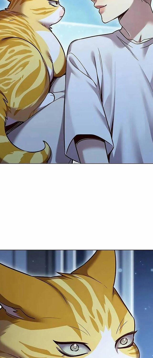 Hóa Thân Thành Mèo 309 trang 75