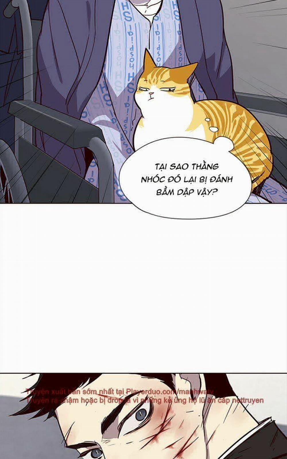 Hóa Thân Thành Mèo 32 trang 52