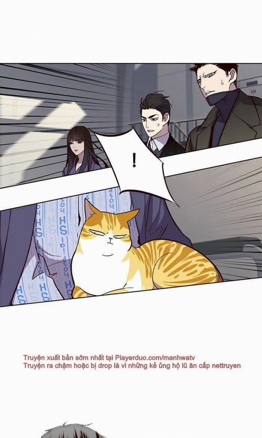 Hóa Thân Thành Mèo 32 trang 79