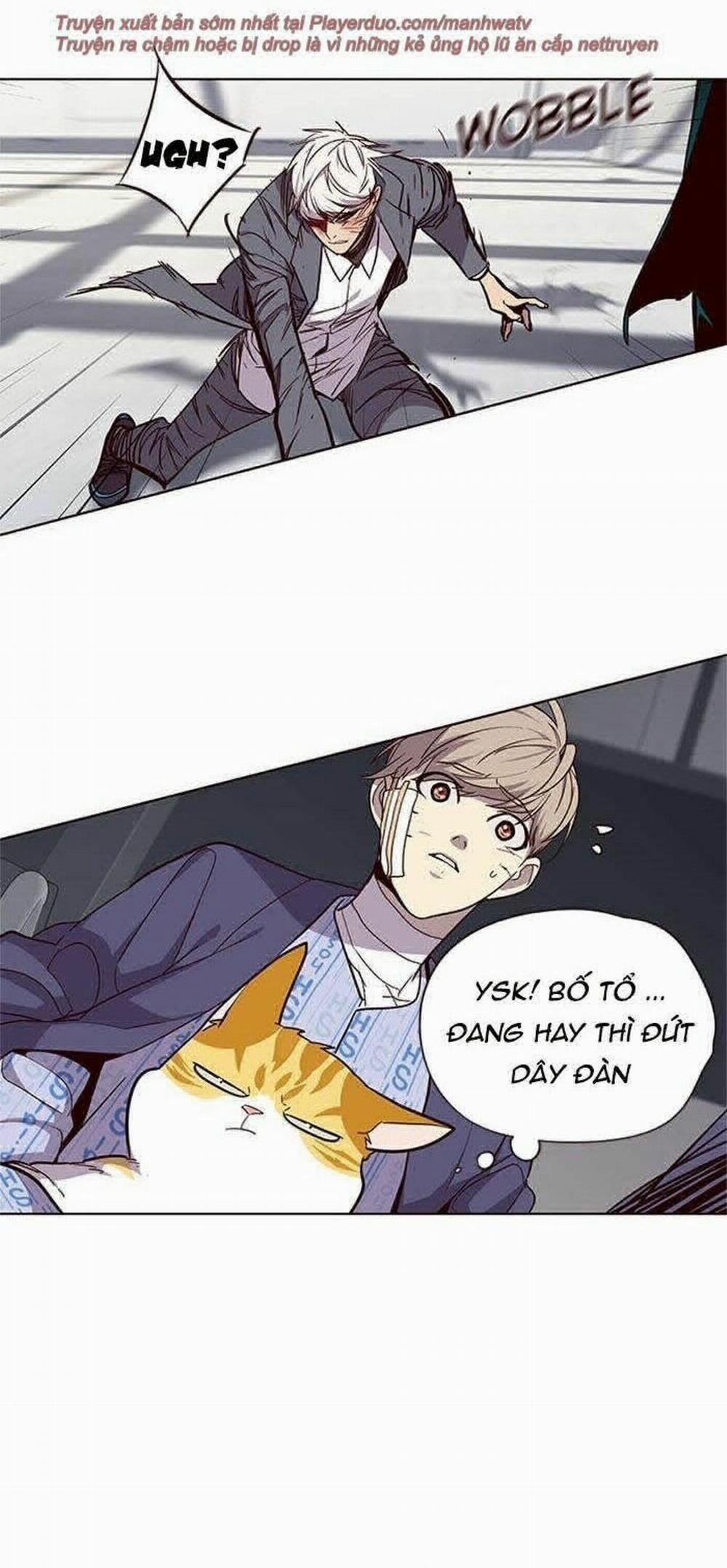 Hóa Thân Thành Mèo 33 trang 31