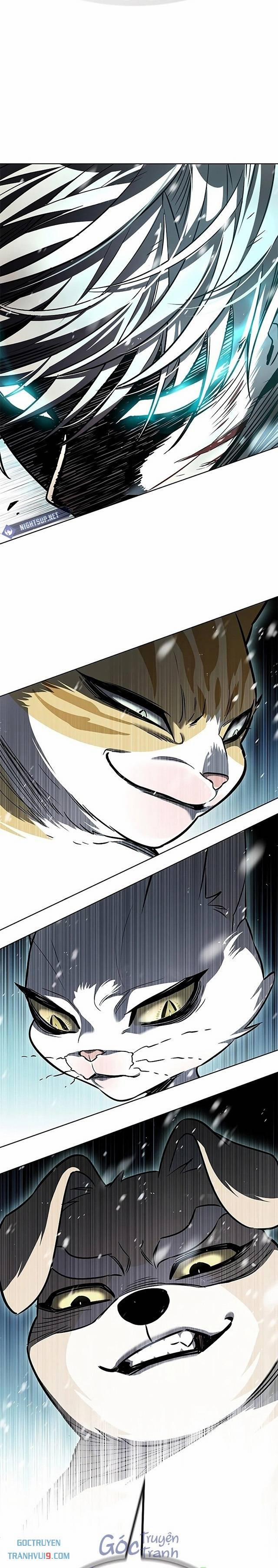 Hóa Thân Thành Mèo 334 trang 37