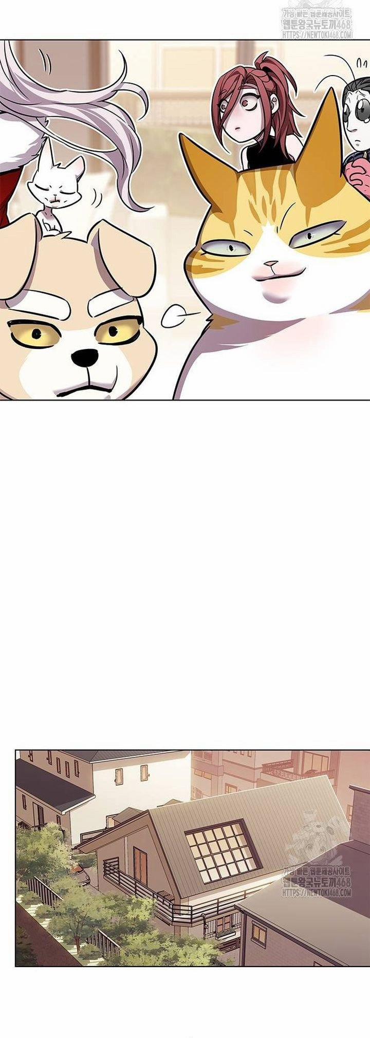Hóa Thân Thành Mèo 336 trang 33