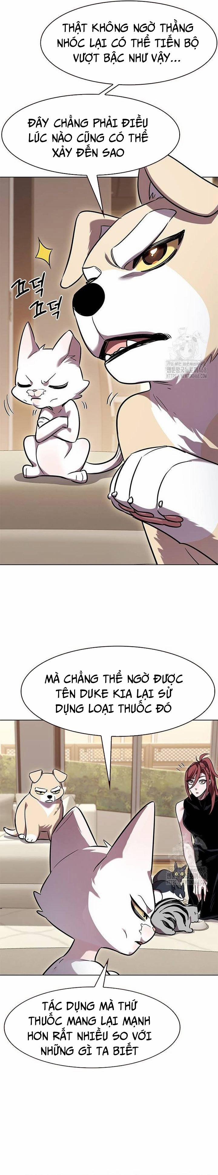 Hóa Thân Thành Mèo 336 trang 35