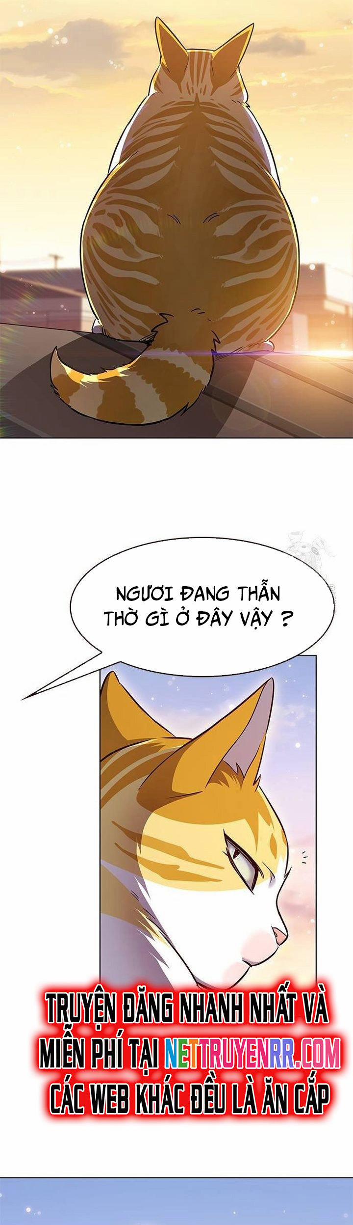 Hóa Thân Thành Mèo 336 trang 40