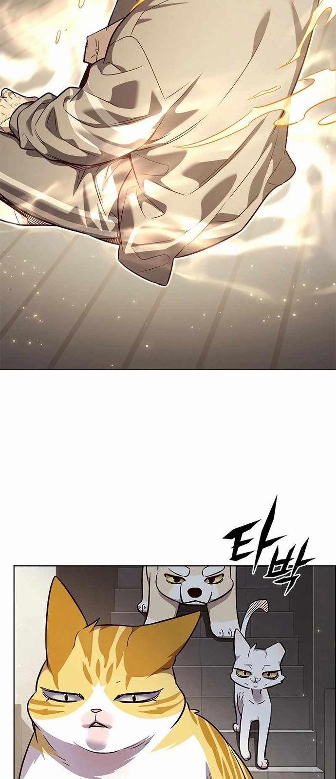 Hóa Thân Thành Mèo 337 trang 26