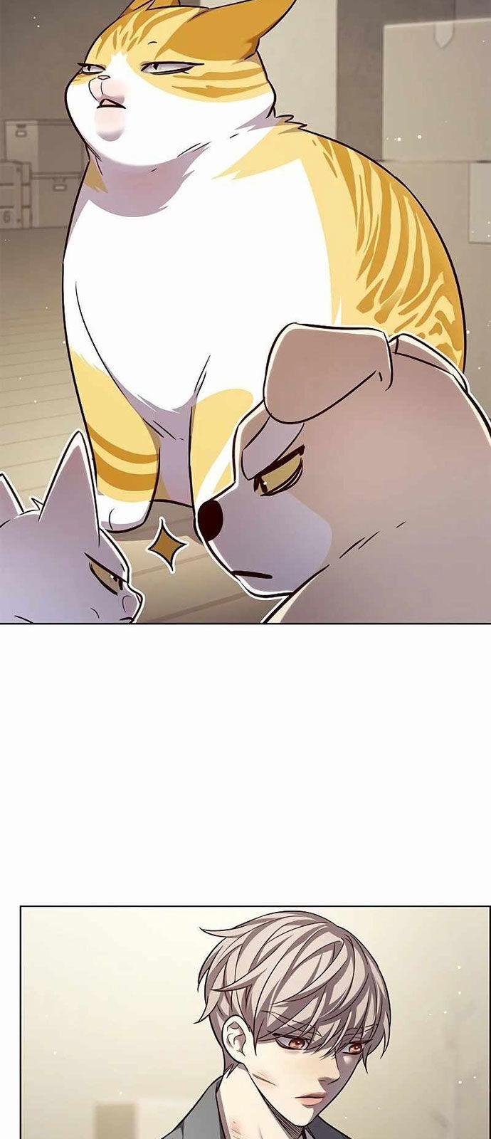 Hóa Thân Thành Mèo 337 trang 31