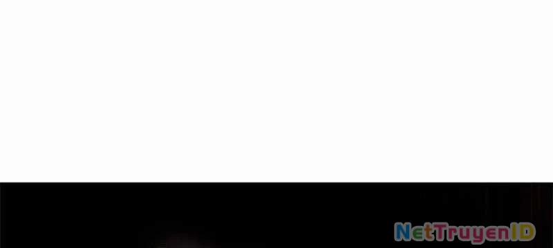 Hóa Thân Thành Mèo 339 trang 174