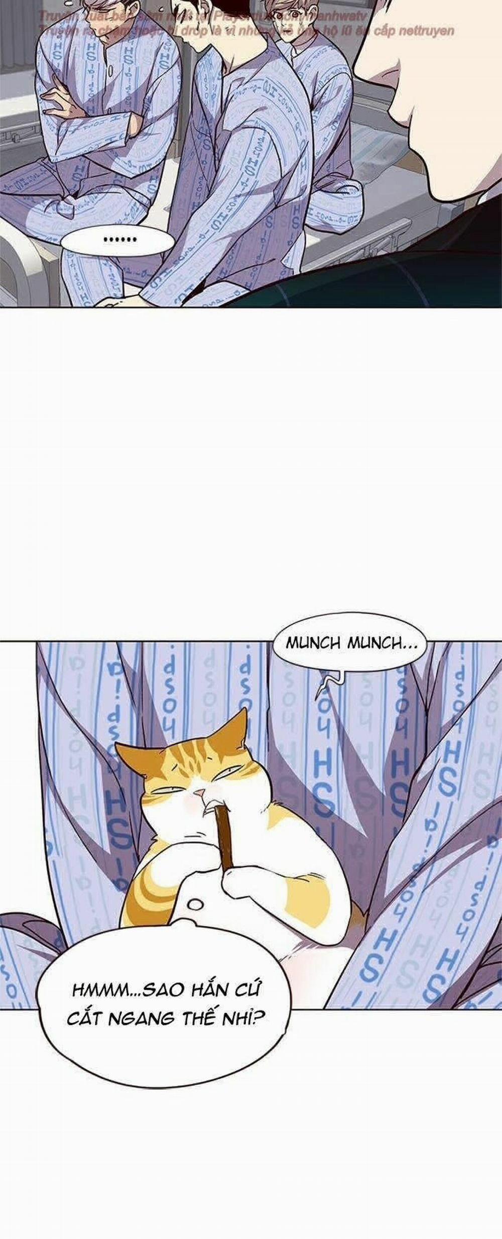 Hóa Thân Thành Mèo 34 trang 26