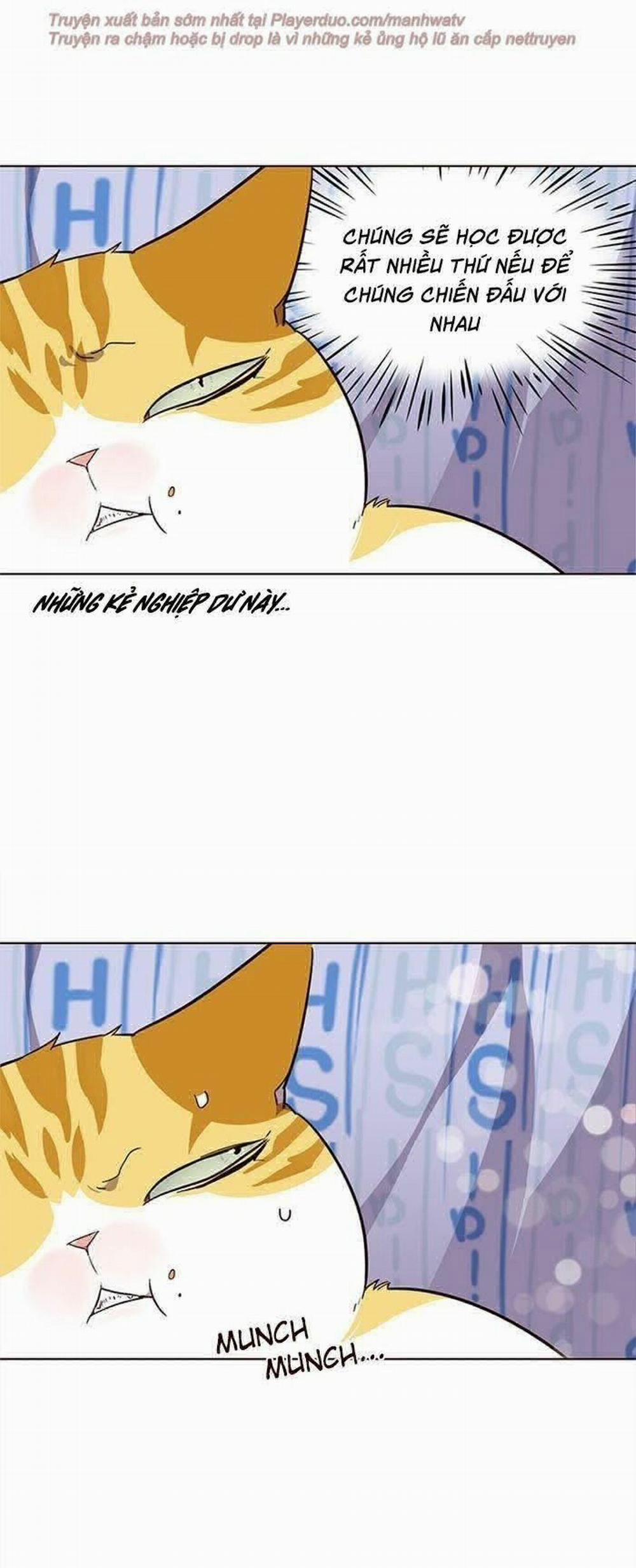 Hóa Thân Thành Mèo 34 trang 27