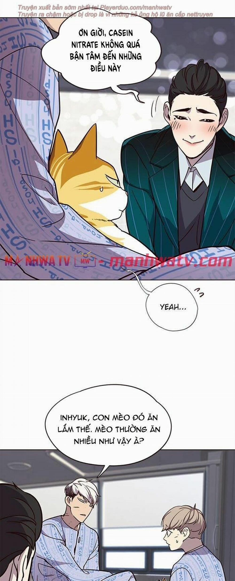 Hóa Thân Thành Mèo 34 trang 28