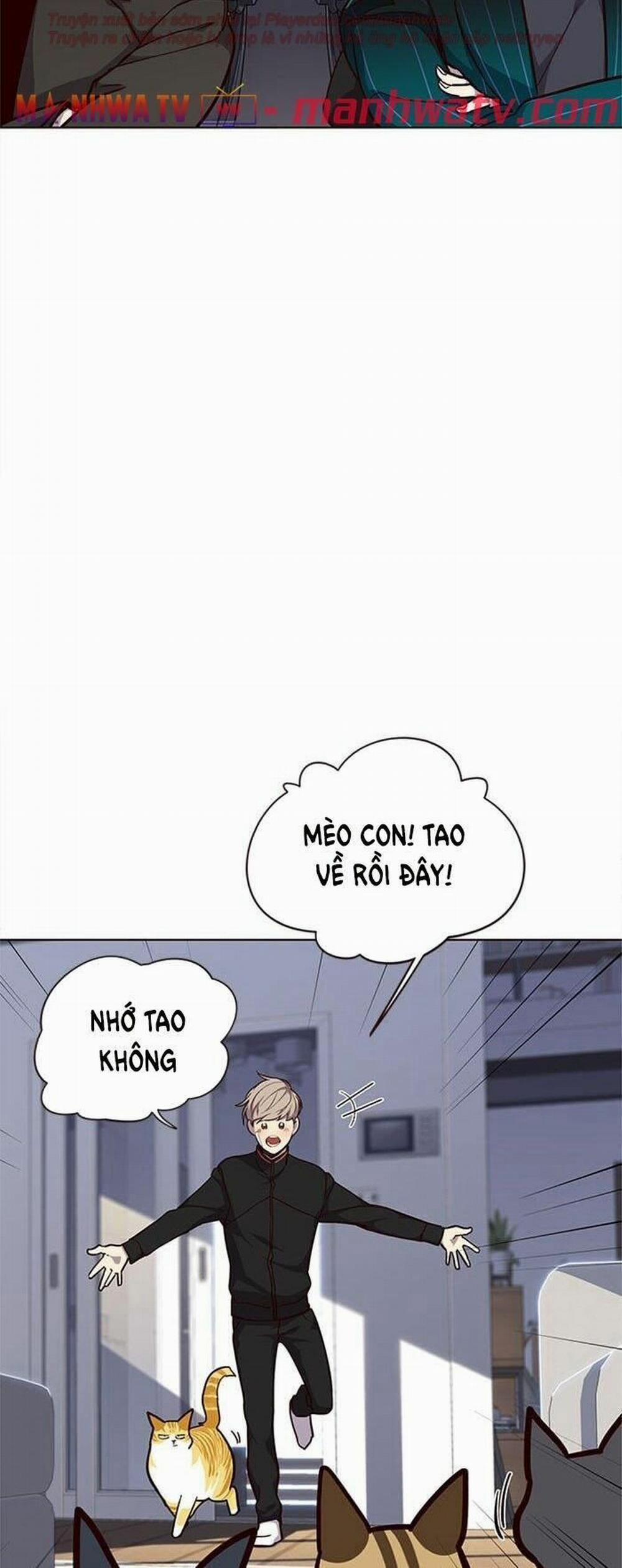 Hóa Thân Thành Mèo 34 trang 43