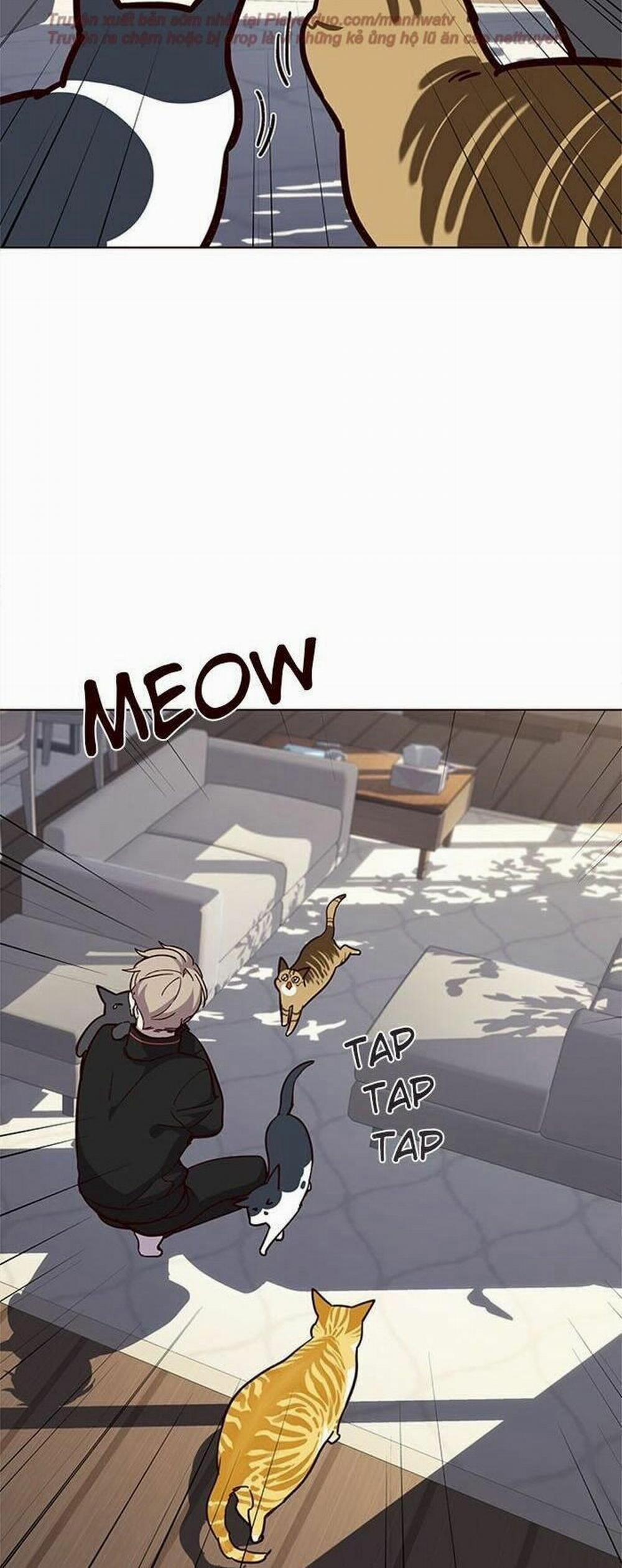 Hóa Thân Thành Mèo 34 trang 44