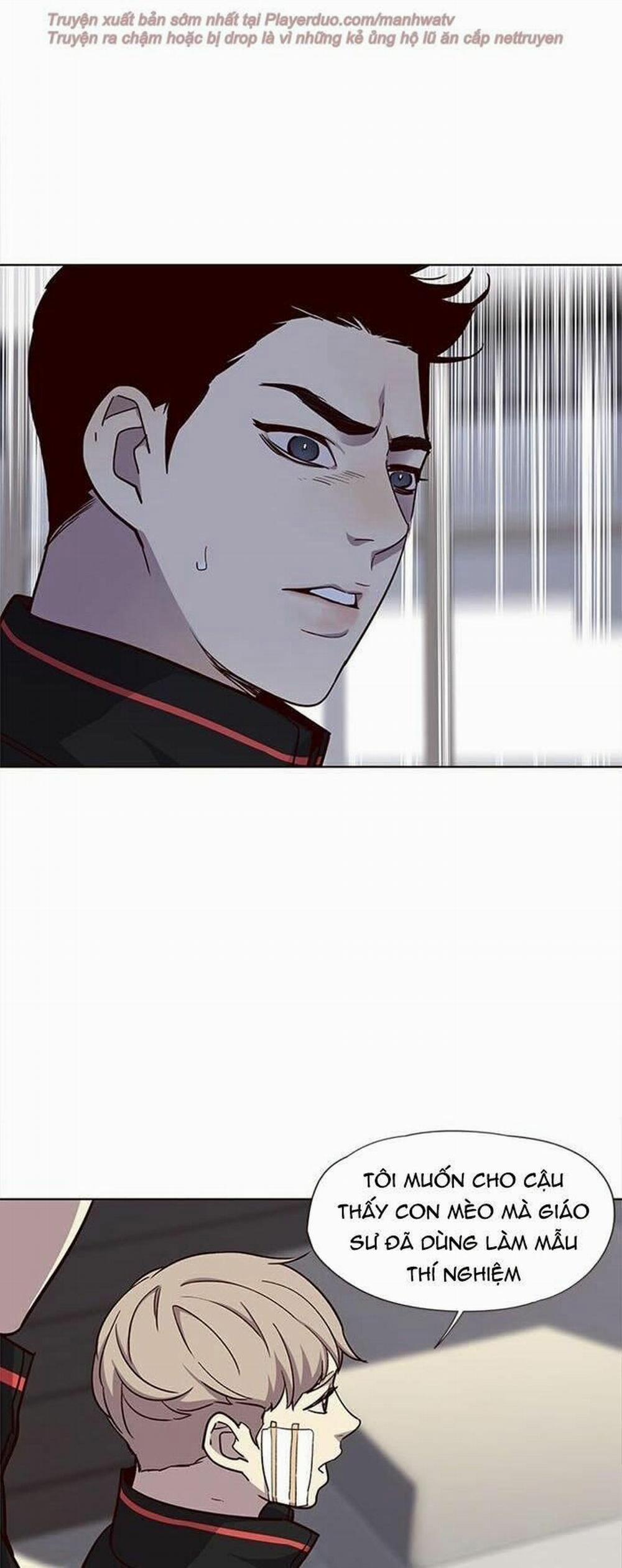 Hóa Thân Thành Mèo 34 trang 47