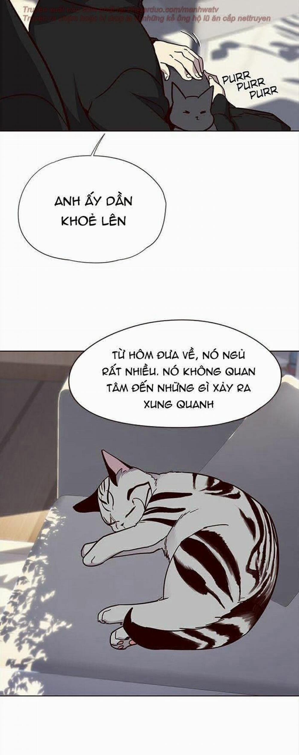 Hóa Thân Thành Mèo 34 trang 48