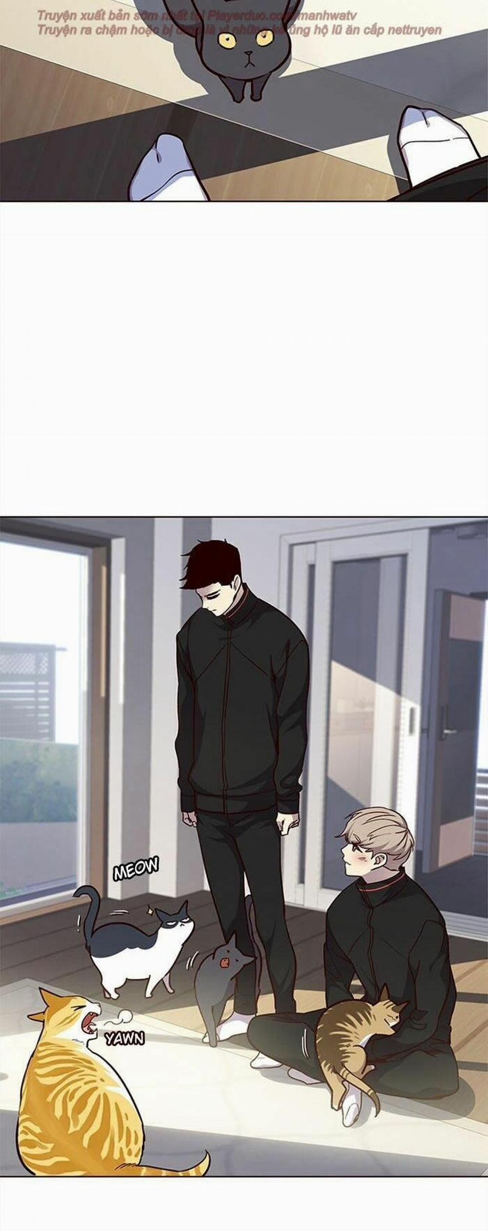 Hóa Thân Thành Mèo 34 trang 54