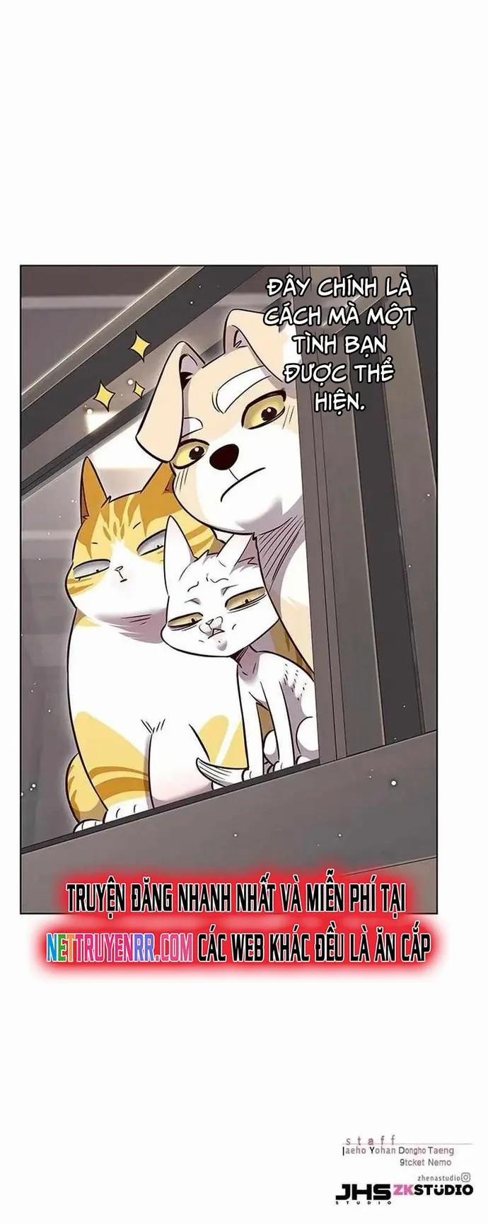 Hóa Thân Thành Mèo 340 trang 18